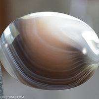 Lexx Stones Botswana Agate