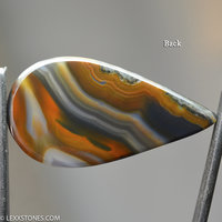 Natural Piranha  Agate Gemstone Cabochon By Lexx Stones 54 Carats