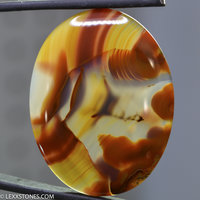 Outstanding Piranha Agate Gemstone Cabochon By Lexx Stones 72 Carats