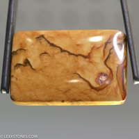 Scenic Rocky Butte Picture Jasper Gemstone Cabochon Hand Crafted By LEXX STONES 61 Carats