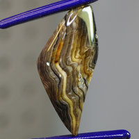 Rare Hells Canyon Petrified Wood Gemstone Cabochon Hand Crafted By LEXX STONES 48 Carats