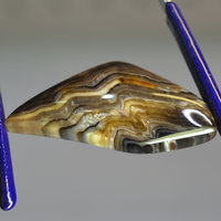 Rare Hells Canyon Petrified Wood Gemstone Cabochon Hand Crafted By LEXX STONES 48 Carats