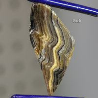 Rare Hells Canyon Petrified Wood Gemstone Cabochon Hand Crafted By LEXX STONES 48 Carats