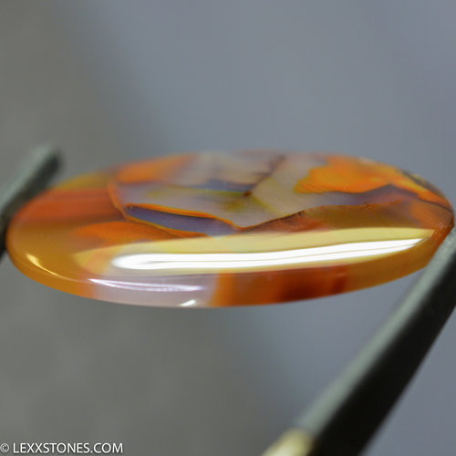 Outstanding Piranha Agate Gemstone Cabochon By Lexx Stones 72 Carats