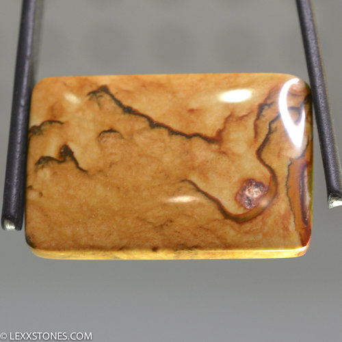 Scenic Rocky Butte Picture Jasper Gemstone Cabochon Hand Crafted By LEXX STONES 61 Carats