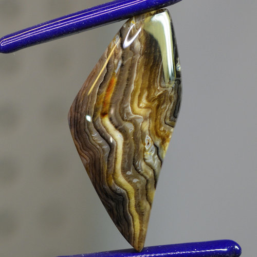 Rare Hells Canyon Petrified Wood Gemstone Cabochon Hand Crafted By LEXX STONES 48 Carats