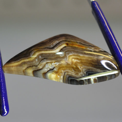 Rare Hells Canyon Petrified Wood Gemstone Cabochon Hand Crafted By LEXX STONES 48 Carats