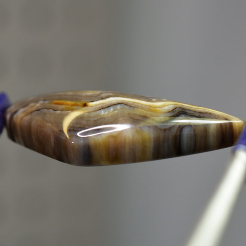 Rare Hells Canyon Petrified Wood Gemstone Cabochon Hand Crafted By LEXX STONES 48 Carats