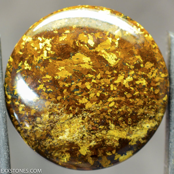 Golden Amphibolite  Lexx Stones