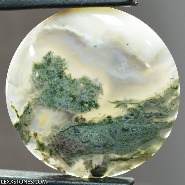 Rare Old Stock Horse Canyon Green Moss Agate  Gemstone Cabochon Hand Crafted By Lexx Stones 38 Carats