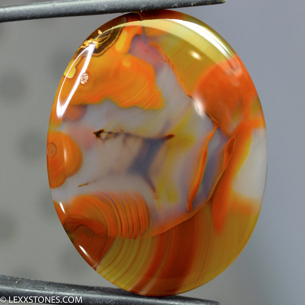Outstanding Piranha Agate Gemstone Cabochon By Lexx Stones 72 Carats