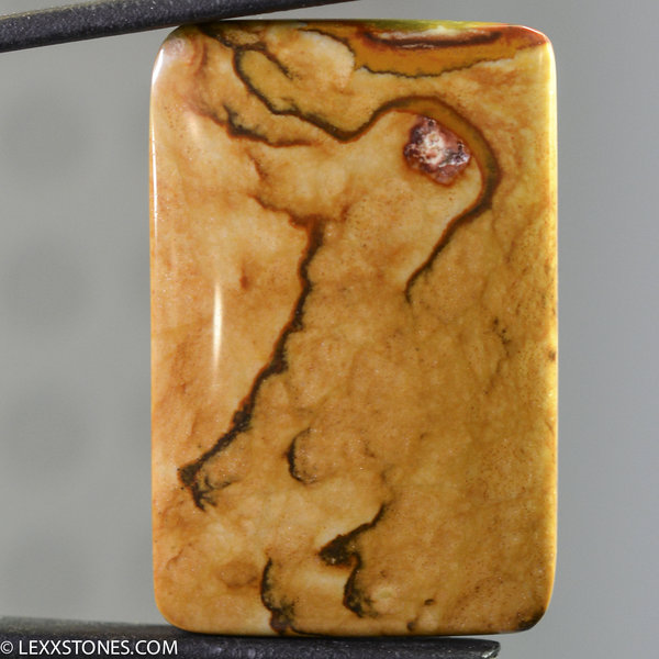 Scenic Rocky Butte Picture Jasper Gemstone Cabochon Hand Crafted By LEXX STONES 61 Carats